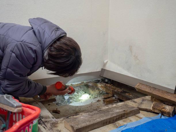 Best Dehumidification Services  in Weedsport, NY