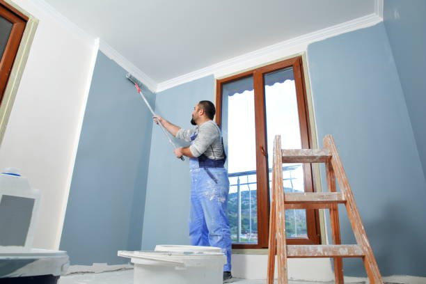 Best Post-Construction Mold Inspection  in Weedsport, NY