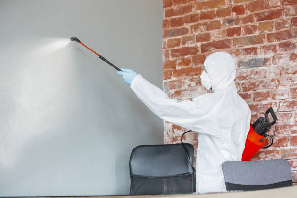Best Crawl Space Mold Remediation  in Weedsport, NY