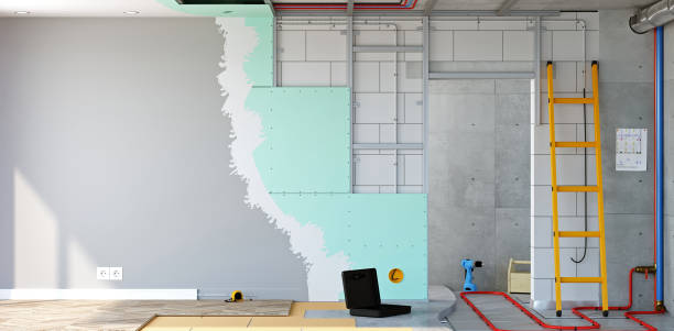 Best Attic Mold Removal  in Weedsport, NY
