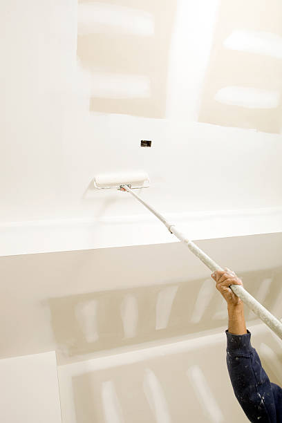 Best Forensic Mold Investigation  in Weedsport, NY
