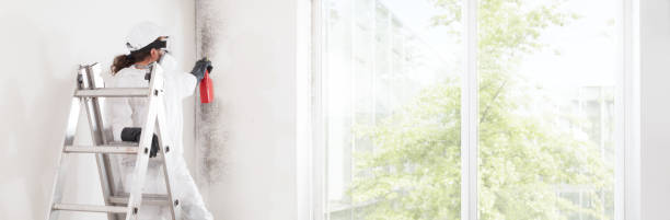 Best Real Estate Mold Inspection  in Weedsport, NY