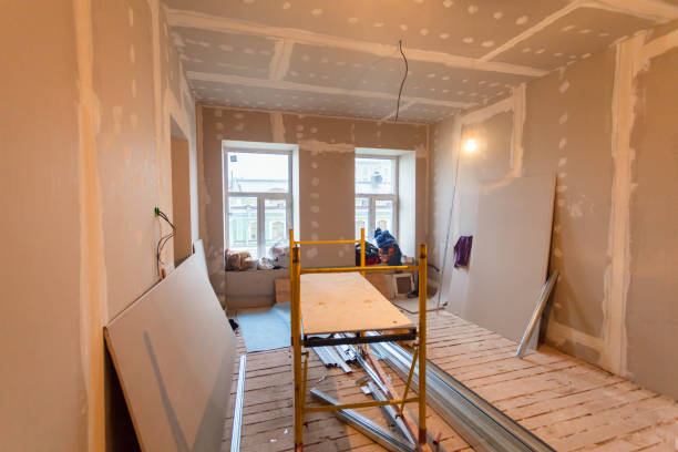 Best Mold Documentation for Insurance Claims  in Weedsport, NY